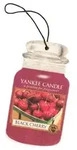 Black Cherry Car Jar Single