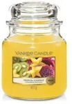 Tropical Starfruit 411g