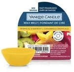 Tropical Starfruit Wachsmelt 22g