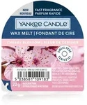 Cherry Blossom Wachsmelt 22g