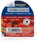 Black Cherry Wachsmelt 22g