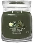 Yankee Candle Duftkerze "Silver Sage & Pine" - 368 g