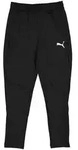 Puma Trainingshose "TeamGOAL" in Schwarz - 116