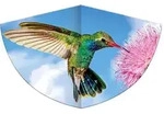 G&uuml;nther Drache "KOLIBRI" - (L)68 x (B)122 cm
