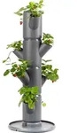 Gusta Garden Pflanzsystem "Sissi Strawberry Starter" in Grau - (H)77 cm