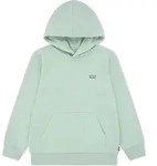 Levi's Kids Hoodie in Gr&uuml;n - 116