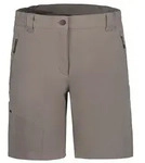 Icepeak Funktionsshorts "Beaufort" in Taupe - 36