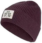 Jack Wolfskin Beanie "Badge" in Lila