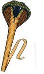 G&uuml;nther Drache "COBRA" - (L)69 x (B)64 cm