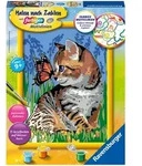 Ravensburger Malen nach Zahlen-Set "Katze mit Schmetterling" - ab 9 Jahren
