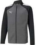 Puma Trainingsjacke in Grau - 164