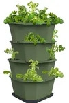 Gusta Garden Kartoffelturm "Paul Potato" in Gr&uuml;n - (B)44 x (H)65 x (T)44 cm