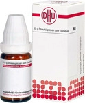 PZN-DE 16692661, DHU-Arzneimittel 528873, DHU-Arzneimittel MYRTILLOCACTUS D 6 Globuli