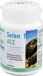PZN-DE 04916411, ENDIMA Vertriebsgesellschaft mbH SELEN 100 ACE Kapseln 60 St,