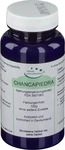 PZN-DE 03901063, G & M Naturwaren Import CHANCA PIEDRA Pulver pur 100 g, Grundpreis: