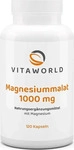 PZN-DE 17584347, Vita World MAGNESIUM-MALAT 1000 mg Kapseln 120 St, Grundpreis: