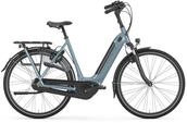 Gazelle Arroyo C7+ HMB Elite Platin