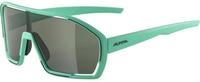 Alpina Bonfire Fahrradbrille
