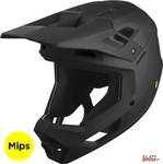 Alpina Pikes MIPS Fullfacehelm