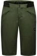 Gore Fernflow Shorts