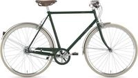 Gazelle Van Stael V7
