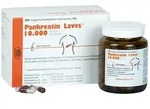 PZN-DE 16134814, Laves-Arzneimittel Pankreatin Laves 10.000