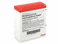 Streptococcus Haemolyticus Injeel Ampullen