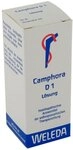 Camphora D1 Dilution