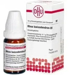 PZN-DE 01783725, DHU-Arzneimittel Rhus Toxicodendron D6 Globuli