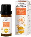 Bachbl&Atilde;&frac14;ten Murnauers Globuli Konzentrier Dich