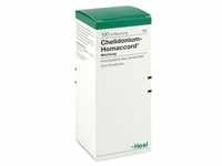 Chelidonium-homaccord Tropfen