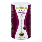 Amformula Diet Cappuccino Pulver