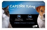 Capstar Tabletten gegen Fl&Atilde;&para;he f&Atilde;&frac14;r Katzen und Hunde bis 11 kg