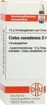 PZN-DE 07456105, DHU-Arzneimittel Cistus Canadensis D6 Globuli