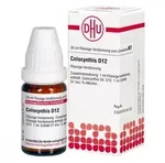 Colocynthis D12 Dilution