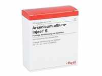 Arsenicum Album Injeel S Ampullen