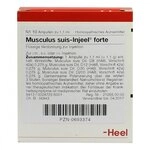 Musculus suis Injeel forte Ampullen