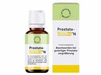 Prostata Entoxin N Tropfen