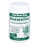 Boswellia 400 mg Extrakt vegetarische Kapseln