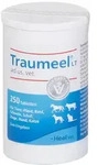 Traumeel LT ad us. vet. Tabletten