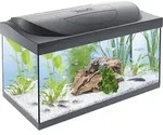 Tetra Aquarium Starter Line LED 54 L schwarz