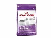 Royal Canin giant_junior 15kg