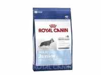 Royal Canin Maxi junior 32 4 Kg