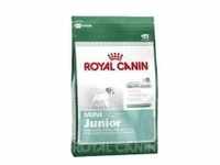 Royal Canin mini junior 0,8kg