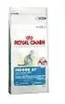 Royal Canin Maine Coon ADULT 31 10kg