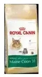 Royal Canin Main Coon 31 Adult 4kg