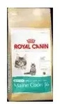 Royal Canin Kitten Main Coon 36 4Kg
