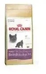 Royal Canin British Shorthair ADULT 34 0,4kg