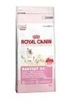 Royal-Canin Babycat 34 400g Royal-Canin Babycat 34 400g