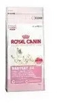 Royal-Canin Babycat 34 2kg